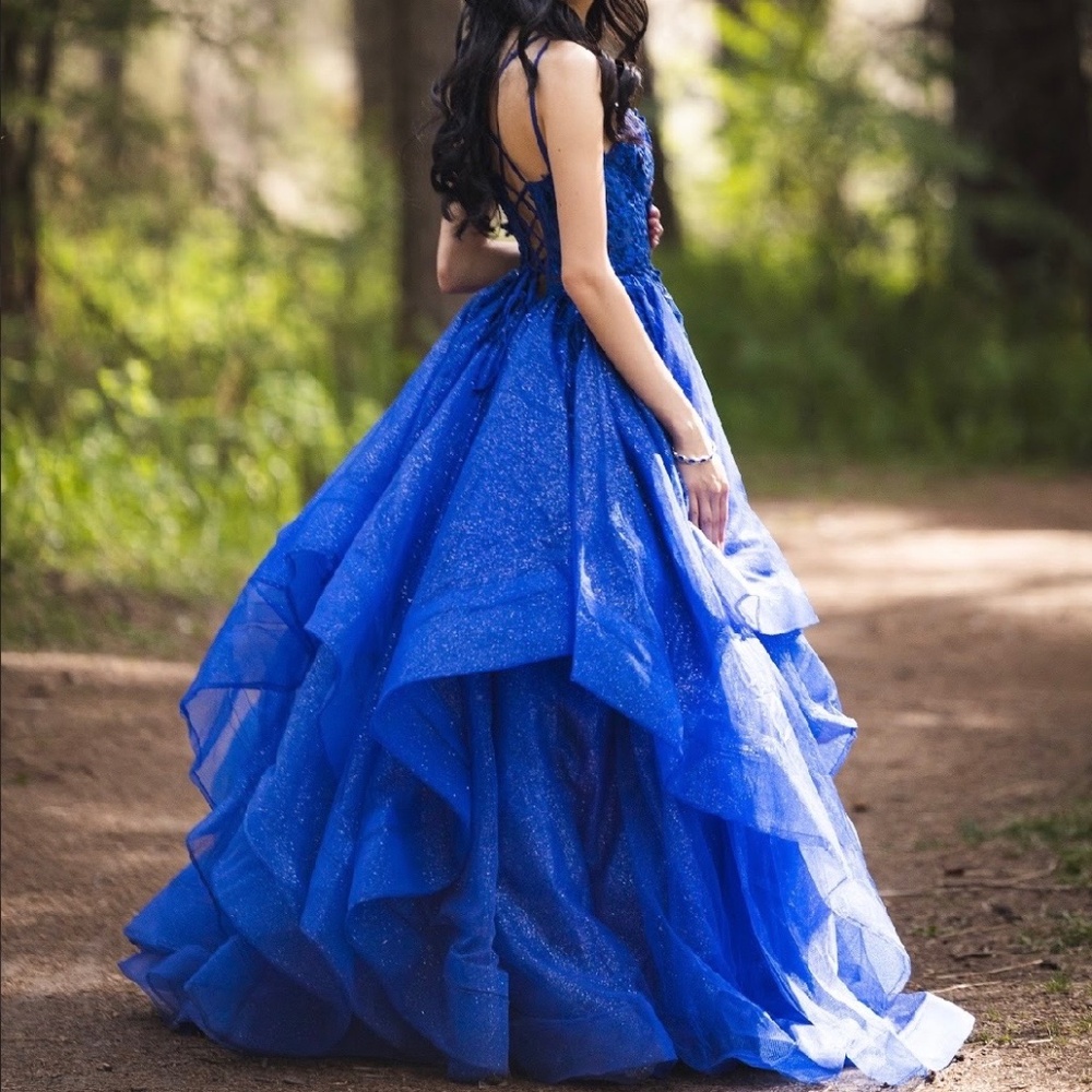 Worn Once – Gorgeous Royal Blue Glitter Tulle Ball Gown (Prom/Grad)